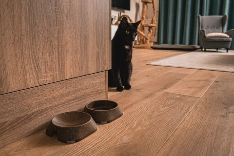 Miska płytka BIAŁA FIBOO Miska płytka BIAŁA FIBOO