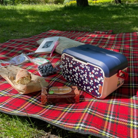 Mini lodówka turystyczna 5L KAMAI EDA wzór kwiat wiśni, lunchox na wkłady mrożące - waniliowy korpus, czerwona rączka, błękitna Mini lodówka turystyczna 5L KAMAI EDA wzór kwiat wiśni, lunchox na wkłady mrożące - waniliowy korpus, czerwona rączka, błękitna