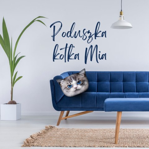 Poduszka kot "MIA" Rozmiar M Poduszka kot "MIA" Rozmiar M