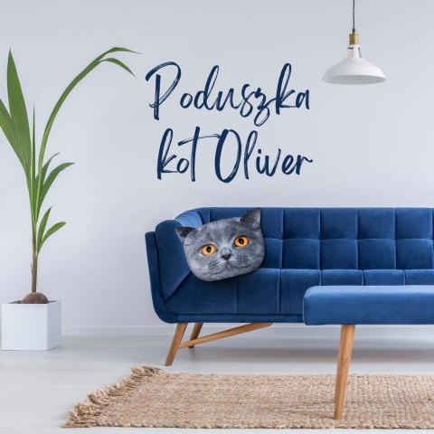 Poduszka kot "OLIVER" Rozmiar M Poduszka kot "OLIVER" Rozmiar M