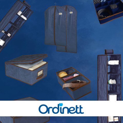 BLUE niebieski organizer do szafy z pokrywą oraz oknem 50x40x25cm BLUE niebieski organizer do szafy z pokrywą oraz oknem 50x40x25cm