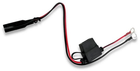 Ładowarka prostownik do akumulatorów 6V/12V everActive 14V/1A CBC-1 Ładowarka prostownik do akumulatorów 6V/12V everActive 14V/1A CBC-1
