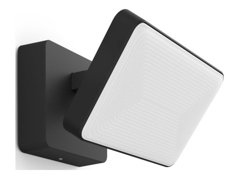 Philips Hue WCA Discover Outdoor Floodlight | Philips Hue