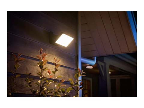 Philips Hue WCA Discover Outdoor Floodlight | Philips Hue