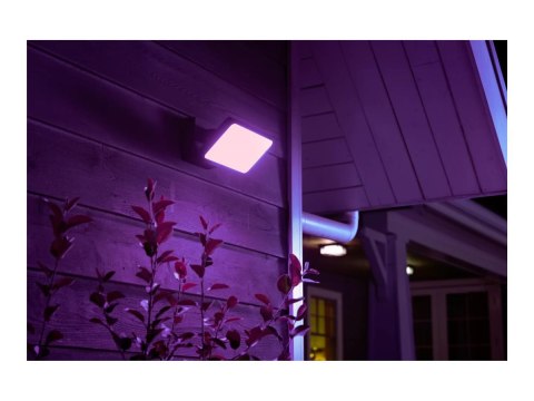 Philips Hue WCA Discover Outdoor Floodlight | Philips Hue
