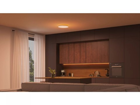 Philips Hue Datura Ceiling Light Small 38.4cm | Philips Hue Datura Ceiling Light Small 38.4cm | 48 W