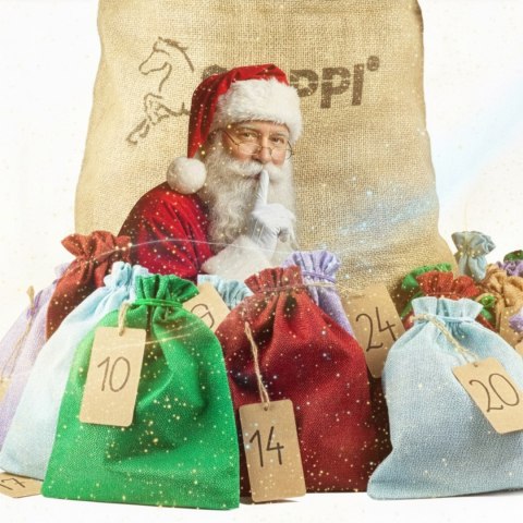 Zestaw Świąteczny Hobby Horse - The Best of Skippi - gniado-srokaty