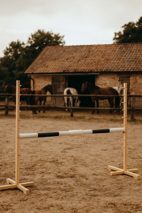 Przeszkoda skokowa do Hobby Horse 160cm, h-120 cm, belka czarna