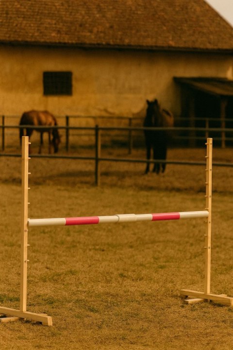 Przeszkoda skokowa do Hobby Horse 160cm, h-120 cm, belka różowa