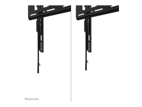 Neomounts LEVEL-750 WL30-750BL14 Fixed heavy duty wall mount - 32-75" screen - max 100 kg - VESA 100x100-400x400 - d 4,2 cm - le