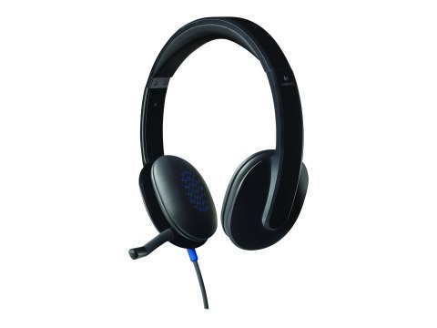 Logitech | Zestaw słuchawkowy | H540 | Nauszny USB Typ-A | Czarny