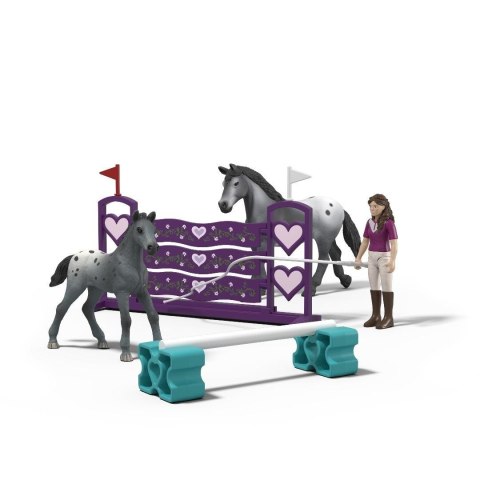 Trening turniejowy lisy Horse Club